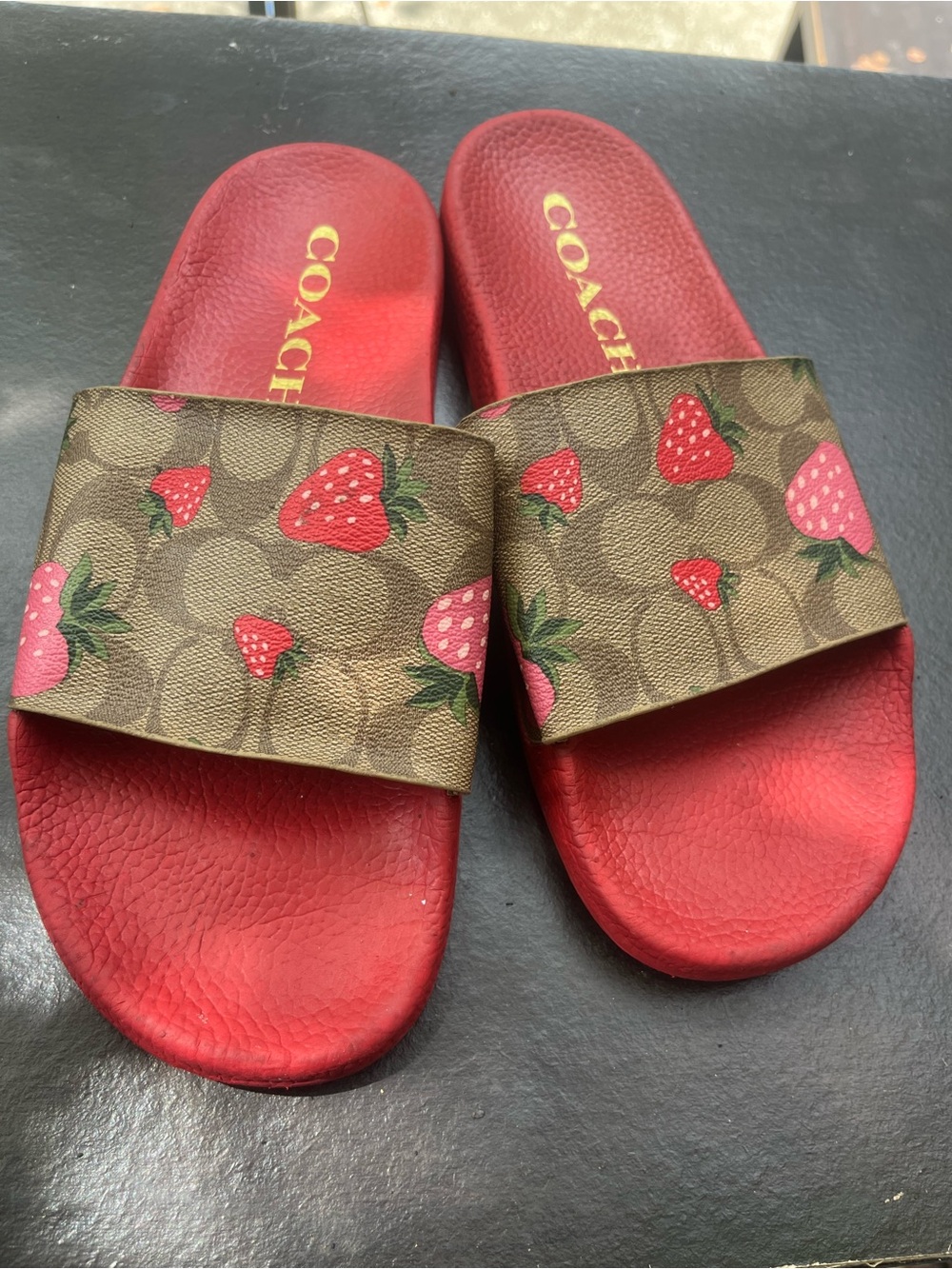 Coach Uli Sport Slides in Signature Canvas with Wild Strawberry Print